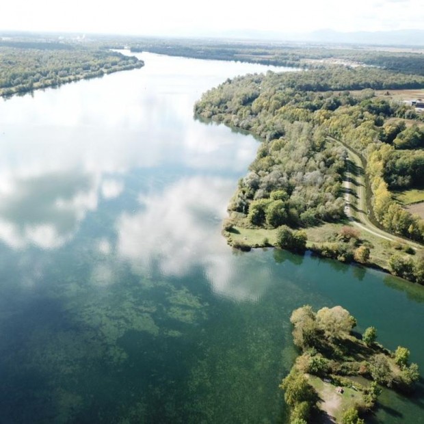 Pêche des carnassiers en Alsace